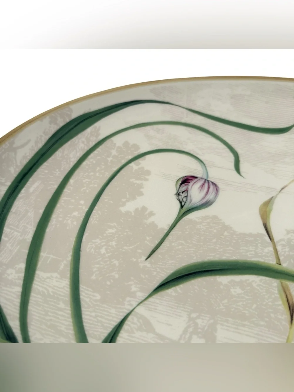 Williams Sonoma Garlic Serving Platter Portugal Oval Ceramic Farmhouse Kitchen